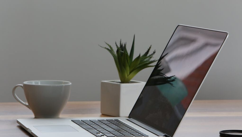 Best Laptops for Work and Entertainment