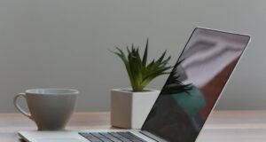 Best Laptops for Work and Entertainment