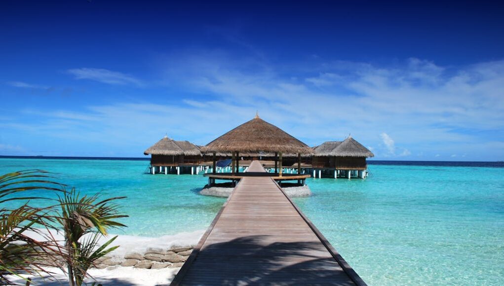 Top Cruise Destinations You Need to Visit