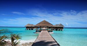 Top Cruise Destinations You Need to Visit