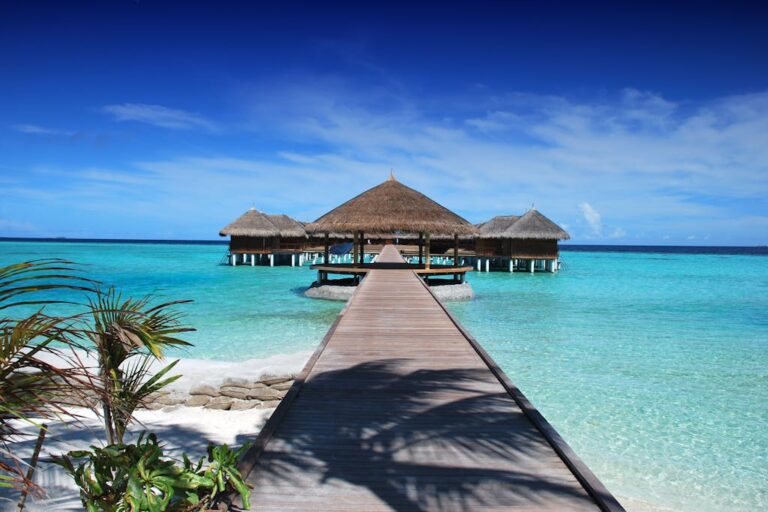 Top Cruise Destinations You Need to Visit